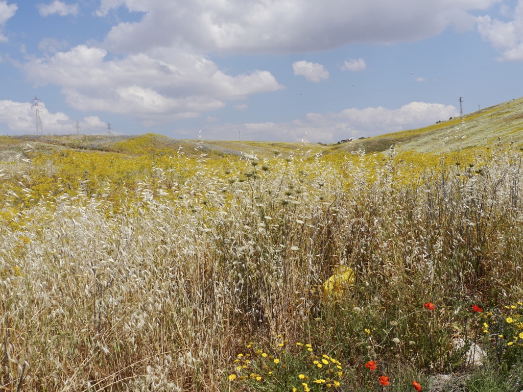 La-RosaWorks—-the-Sicani-Hills-near-Sant-Angelo-Muxaro.jpeg